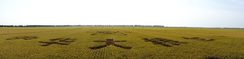 點(diǎn)擊瀏覽下一頁