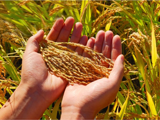 點擊瀏覽下一頁